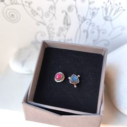 Mėlynė ir spanguolė 