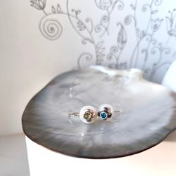 Perlų uogos, gėlytes smulkios 